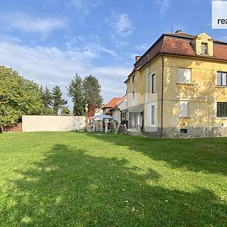 Pronájem bytu 1+1 35 m² Dobřany, Palackého