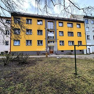 Pronájem bytu 4+1 82 m² Aš, Skřivánčí