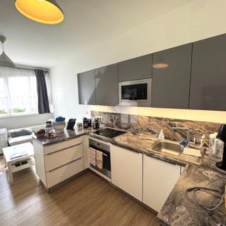 Pronájem bytu 2+kk 48 m² Praha