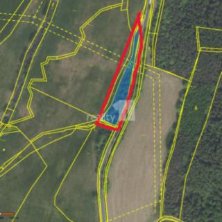 Pronájem zemědělské půdy 2335 m² Trhové Dušníky
