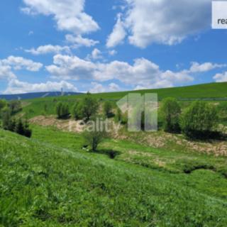 Prodej stavební parcely 2 335 m² Loučná pod Klínovcem Háj, Háj