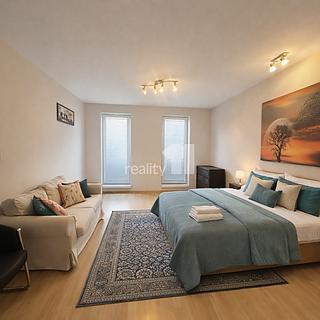 Pronájem bytu 1+kk, garsoniery 49 m&sup2; Praha
