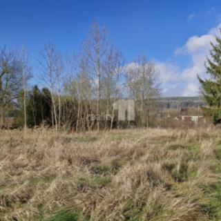 Prodej louky 1 669 m² Dalovice Vysoká, Sedmidomky