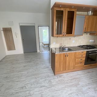 Pronájem bytu 1+1 35 m² Dobřany, Palackého