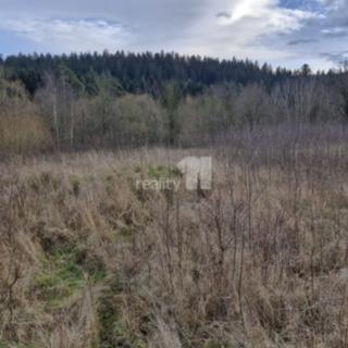 Prodej stavební parcely 2 983 m² Kynšperk nad Ohří Zlatá, Zlatá