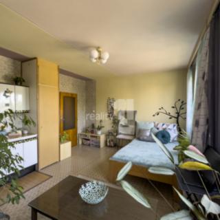 Prodej bytu 1+kk a garsoniéry 27 m² Plzeň Bolevec, Turistická
