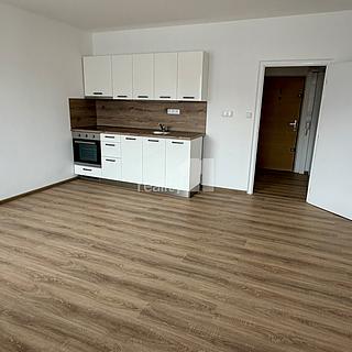 Pronájem bytu 1+kk a garsoniéry 31 m² Plzeň Severní Předměstí, Hodonínská