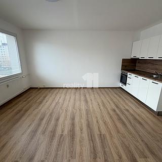 Pronájem bytu 1+kk a garsoniéry 31 m² Plzeň Severní Předměstí, Hodonínská