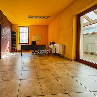 Prodej ostatního komerčního prostoru 541 m² Rokycany Střed, Dolní příkopy