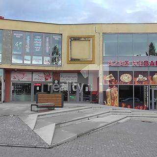 Pronájem skladu 15 m² Ostrava Poruba, Sokolovská