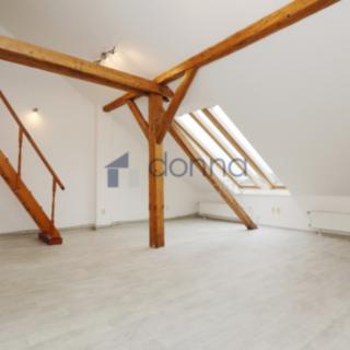 Pronájem bytu 1+1 50 m² Praha Bubeneč, Jana Zajíce