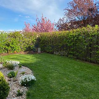 Pronájem bytu 4+kk 99 m² Praha Kobylisy, Ke Stírce