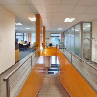Pronájem obchodu 268 m² Praha