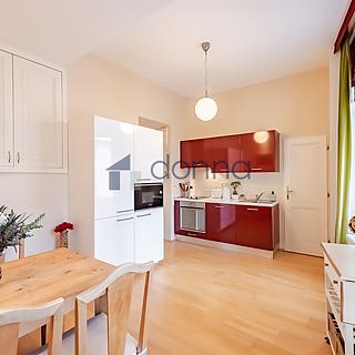 Pronájem bytu 1+1 46 m² Praha