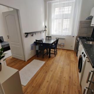 Pronájem bytu 1+1 24 m² Praha