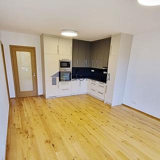 Pronájem bytu 2+kk 54 m² Praha