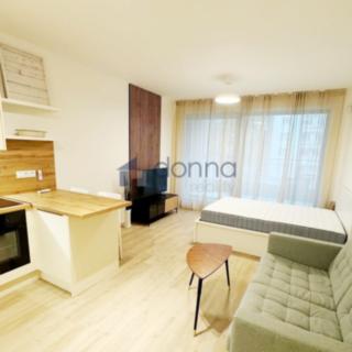 Pronájem bytu 1+kk, garsoniery 44632 m² Praha