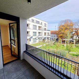 Pronájem bytu 2+kk 54 m² Praha Nusle, Mužíkova