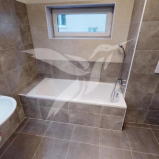Pronájem bytu 2+kk 50 m² Plzeň Jižní Předměstí, Vrchlického