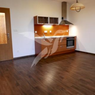 Pronájem bytu 1+kk a garsoniéry 36 m² Plzeň Jižní Předměstí, Goldscheiderova