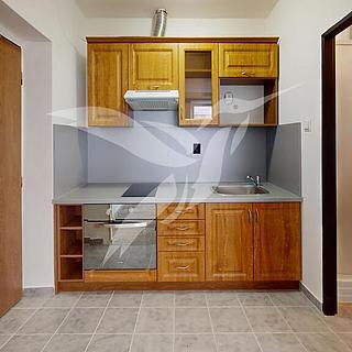 Pronájem bytu 1+kk, garsoniery 23 m² Zbůch