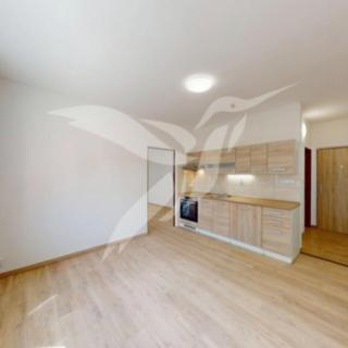 Pronájem bytu 1+1 36 m² Plzeň Skvrňany, Karla Steinera