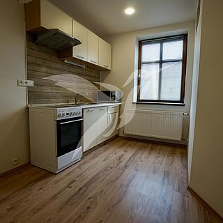 Pronájem bytu 1+1 38 m² Město Touškov, Čemínská