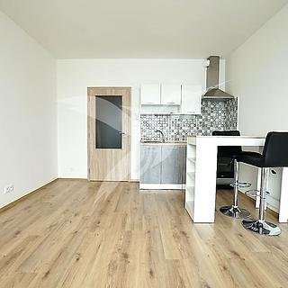 Pronájem bytu 1+kk, garsoniery 29 m² Plzeň