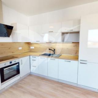 Pronájem bytu 2+kk 58 m² Plzeň Východní Předměstí, Sladová
