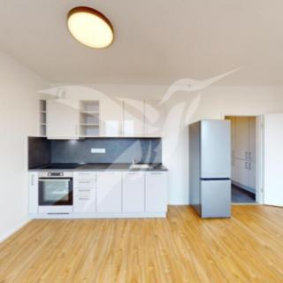 Pronájem bytu 1+kk a garsoniéry 28 m² Plzeň Jižní Předměstí, Baarova