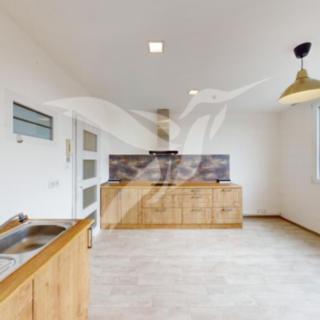 Pronájem bytu 1+1 35 m² Dýšina, K Chlumu