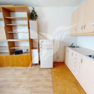 Pronájem bytu 1+kk a garsoniéry 20 m² Plzeň, Skupova