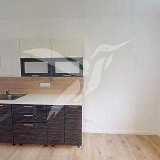 Pronájem bytu 2+1 53 m² Plzeň Radčice, Ke Kyjovu