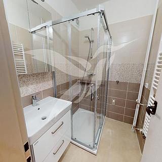 Pronájem bytu 2+1 46 m&sup2; Plzeň