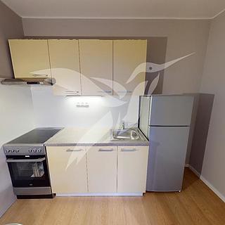 Pronájem bytu 1+kk, garsoniery 31 m&sup2; Plzeň