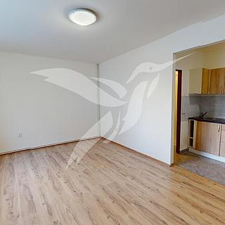 Pronájem bytu 1+kk, garsoniery 24 m&sup2; Zbůch