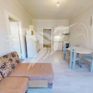 Pronájem bytu 1+1 53 m² Plzeň