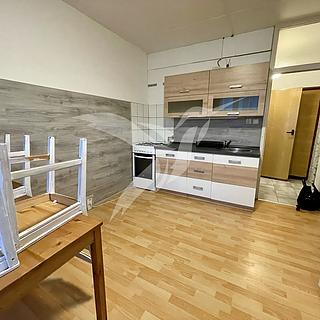 Pronájem bytu 1+1 43 m² Teplá, Palackého