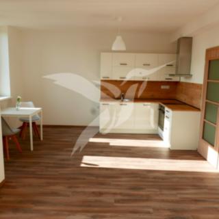Pronájem bytu 1+kk a garsoniéry 34 m² Plzeň Bolevec, U Velkého rybníka