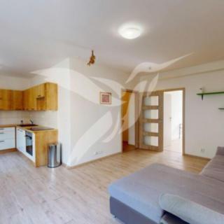 Pronájem bytu 2+kk 67 m² Plzeň Lobzy, Na Celchu