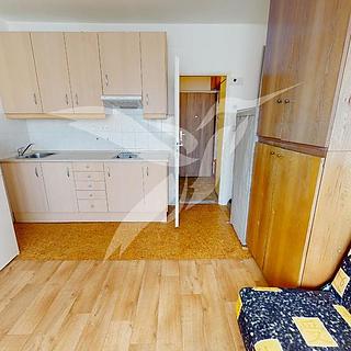 Pronájem bytu 1+kk a garsoniéry 20 m² Plzeň Jižní Předměstí, Skupova