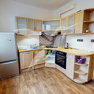 Pronájem bytu 2+1 60 m² Plzeň Východní Předměstí, Francouzská třída