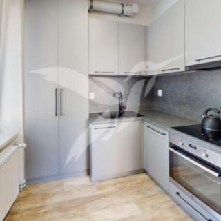 Pronájem bytu 3+1 65 m² Plzeň Východní Předměstí, Guldenerova