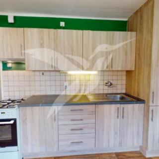 Pronájem bytu 2+1 51 m² Plzeň