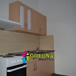 Pronájem bytu 1+1 42 m² České Budějovice 6, Mánesova