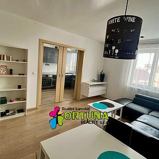 Pronájem bytu 2+1 60 m² Včelná