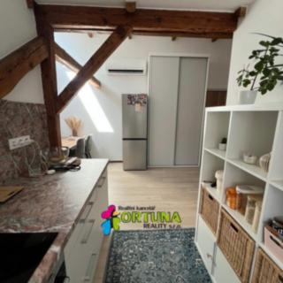 Pronájem bytu 2+kk 43 m² České Budějovice