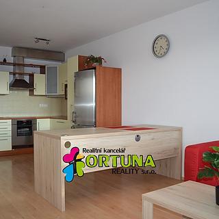 Pronájem bytu 2+kk 68 m&sup2; České Budějovice