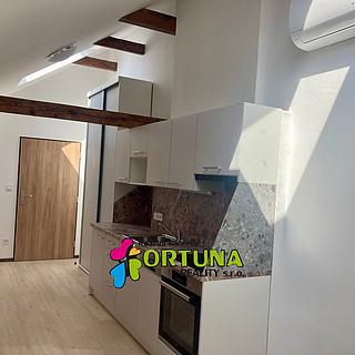 Pronájem bytu 2+kk 35 m² České Budějovice