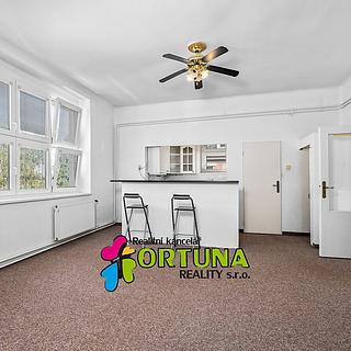 Prodej bytu 2+1 81 m² České Budějovice 3, Fr. Hrubína